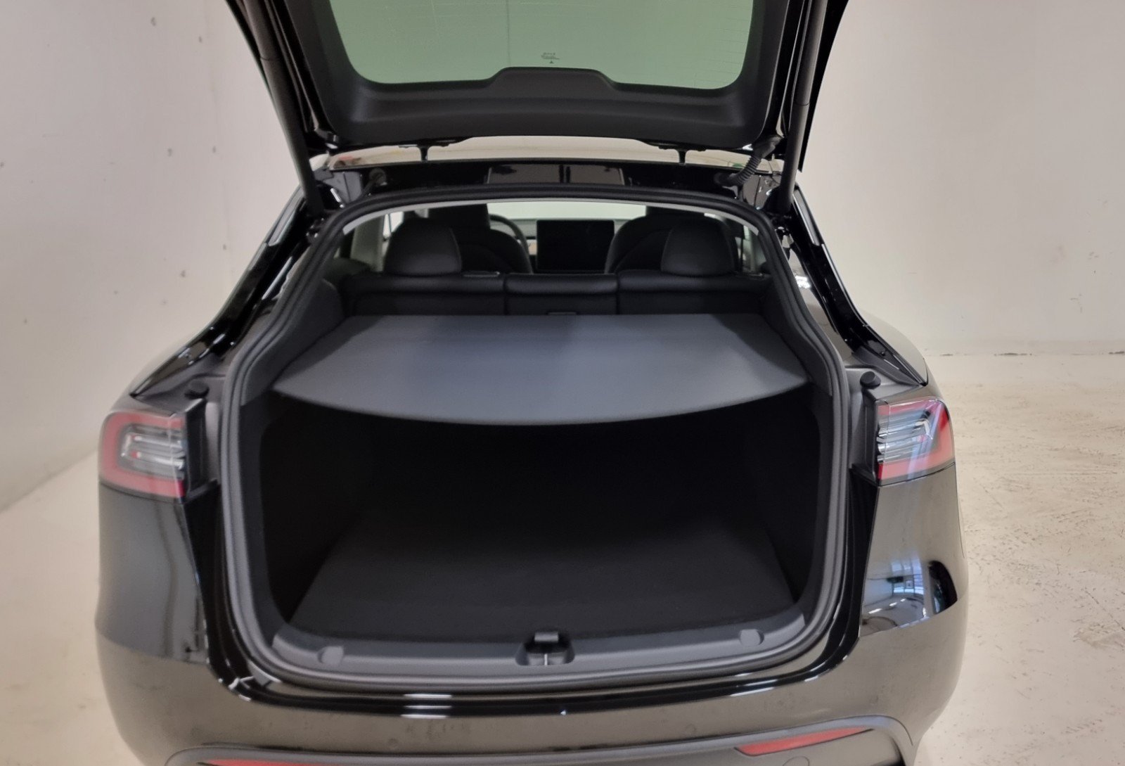 TESLA MODEL Y PERFORMANCE - Photo 7